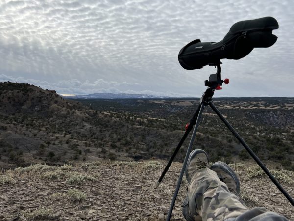The MTN STICK - Image 10